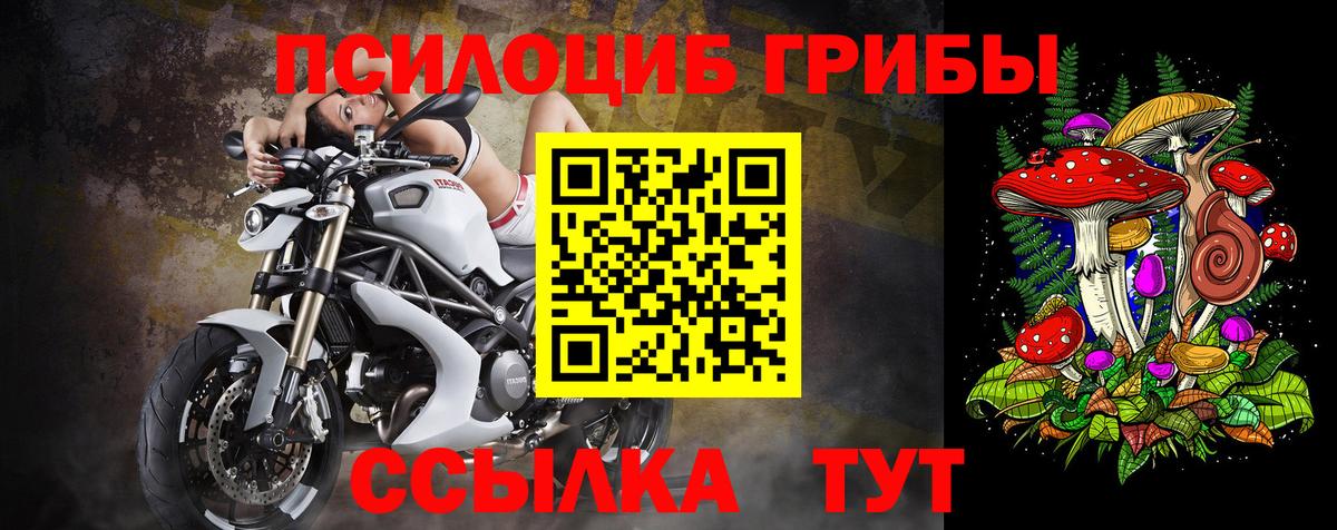 Псилоцибиновые грибы мухоморы Щёлково