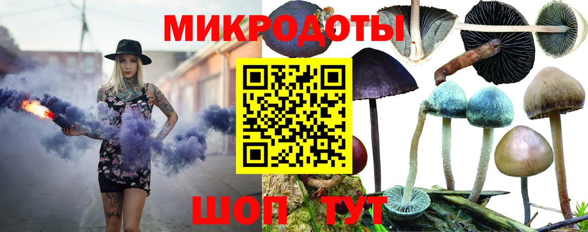 Псилоцибиновые грибы Psilocybe  Вход с VPN  где можно купить наркотик  Щёлково 